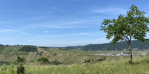 Landschaft mit Baum Landschaft mit Baum